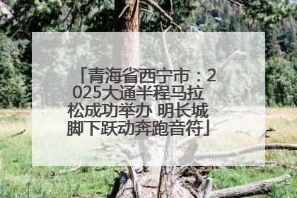 青海省西宁市：2025大通半程马拉松成功举办 明长城脚下跃动奔跑音符